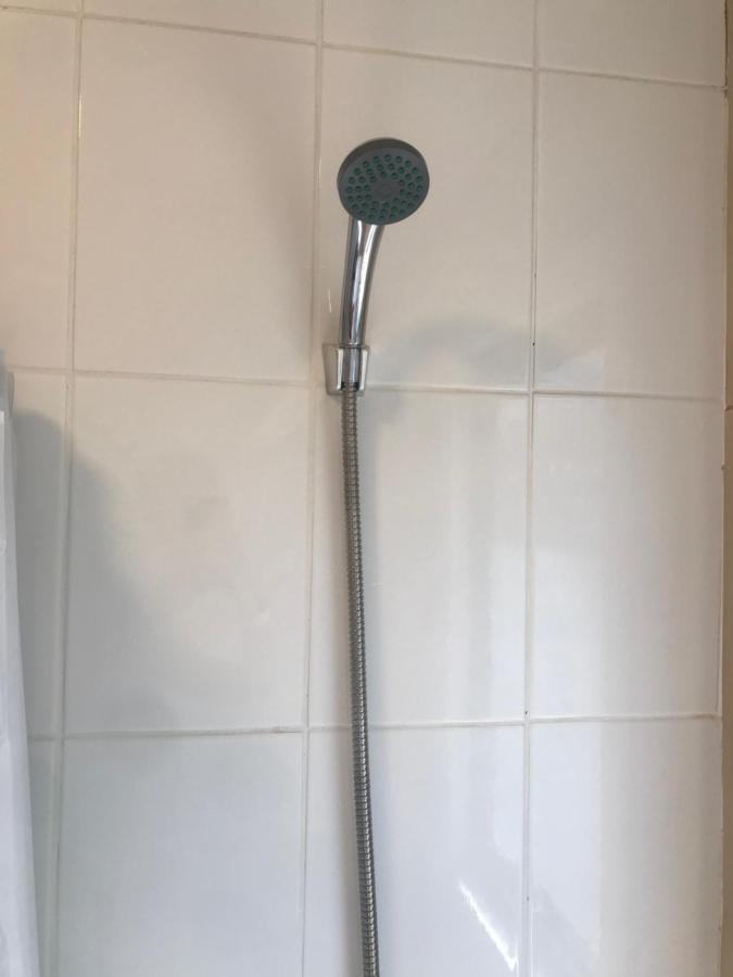 Apart Hotel Don Domingo Coñaripe מראה חיצוני תמונה